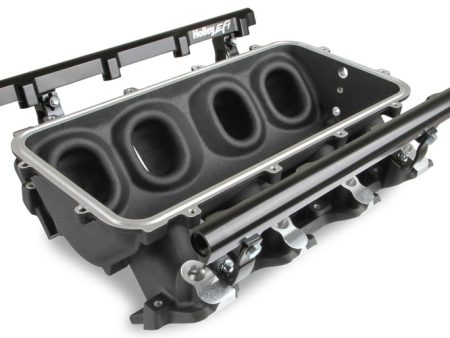 Base Manifold and Rail Kit for Lo-Ram - LS1 LS2 LS6 Black Finish with Single Injector manifold and fuel rails Discount